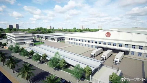 越南工廠 爆單 全球產能最大針織服飾代工龍頭上半年狂攬11億